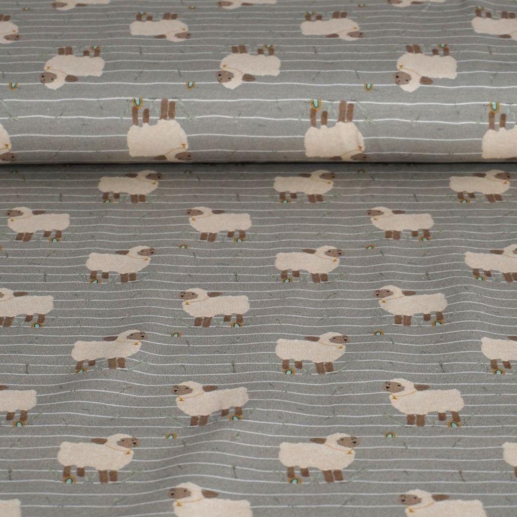 Baumwolljersey Schaf grau ecru – FVJ